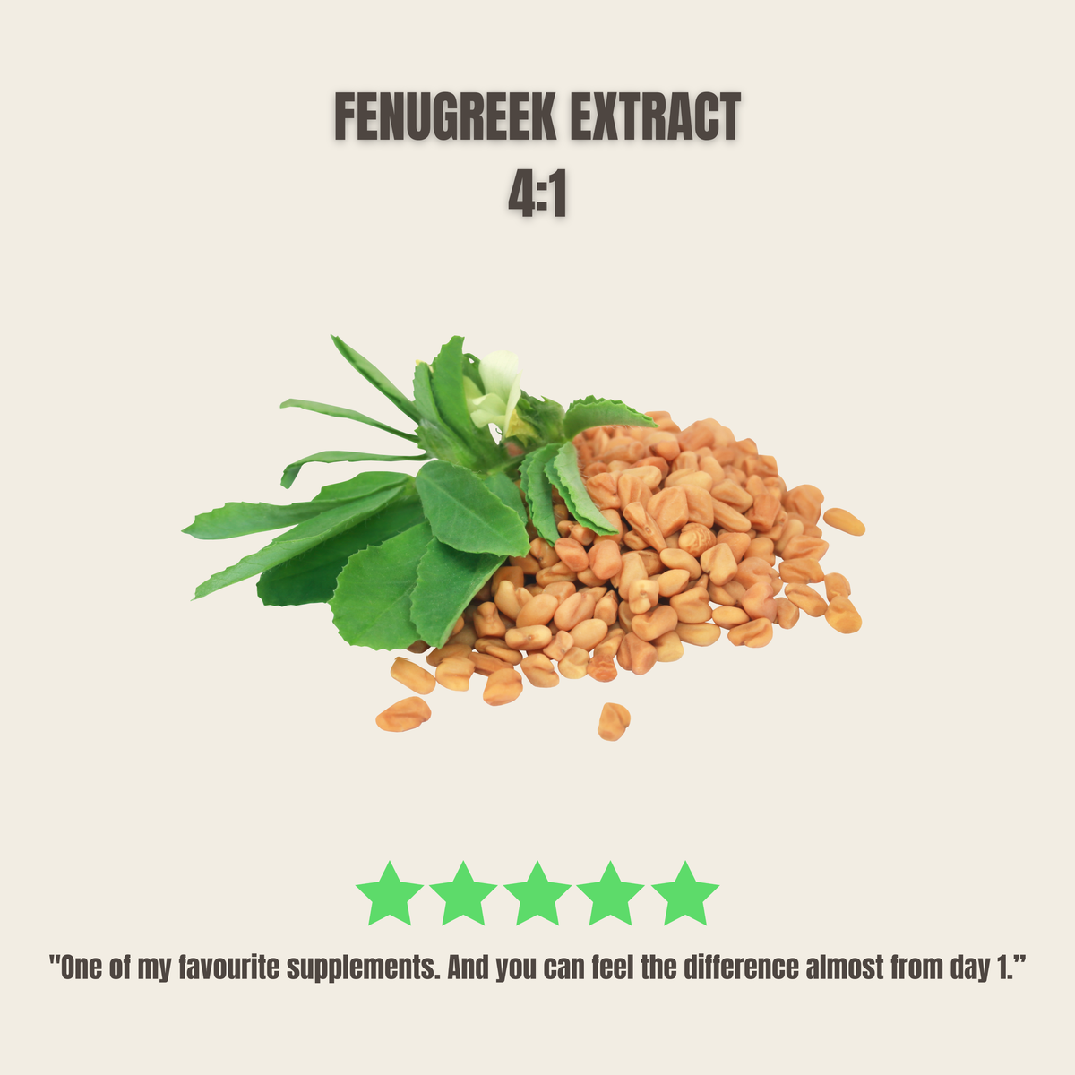 Fenegriek supplement review 