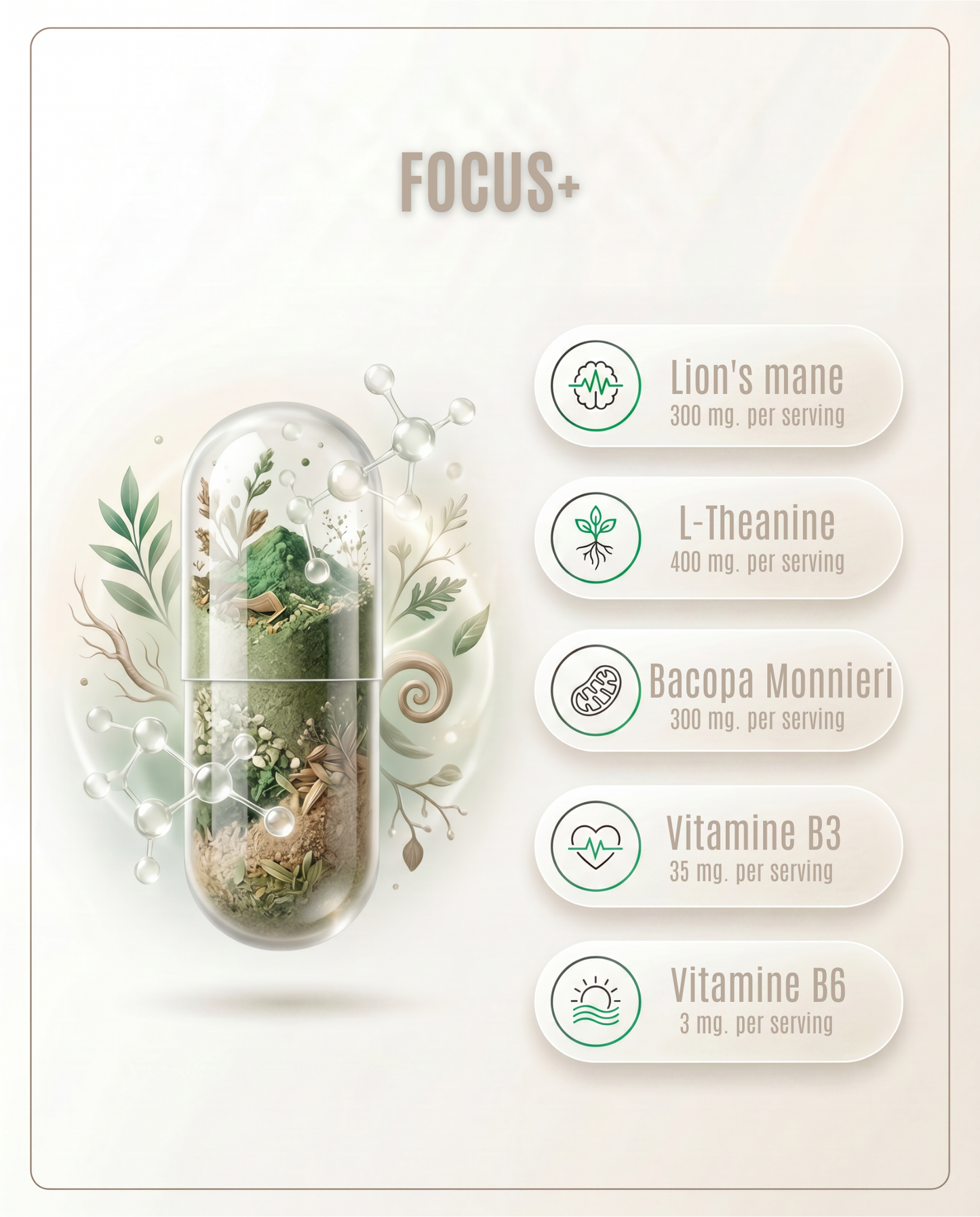 Focus+