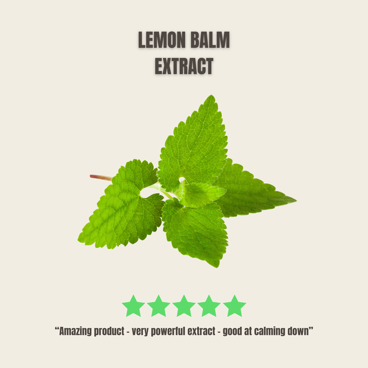 Lemon balm review