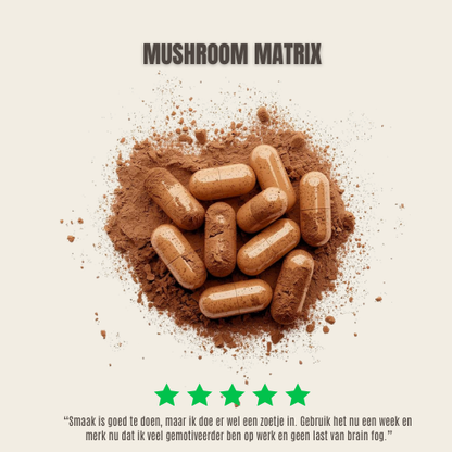 mushroom supplement review