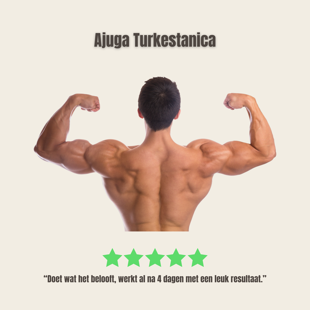 ajuga turkestanica review