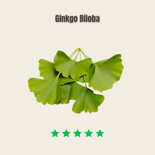 ginkgo biloba review