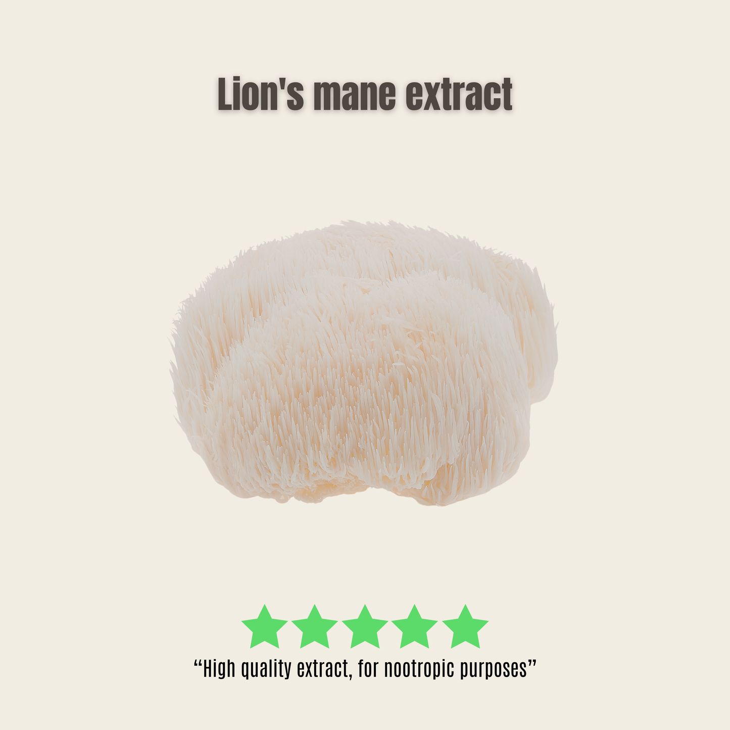Lion's Mane 30%
