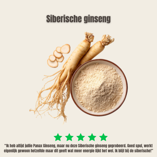 syberische ginseng review
