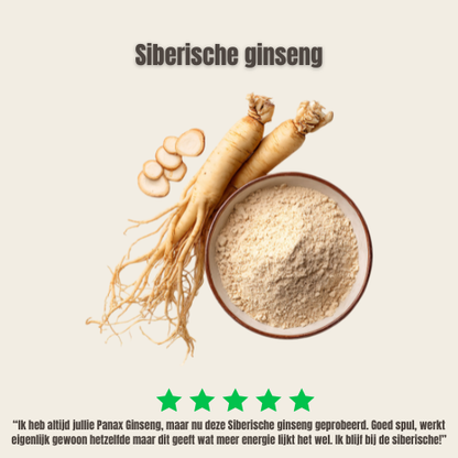syberische ginseng review
